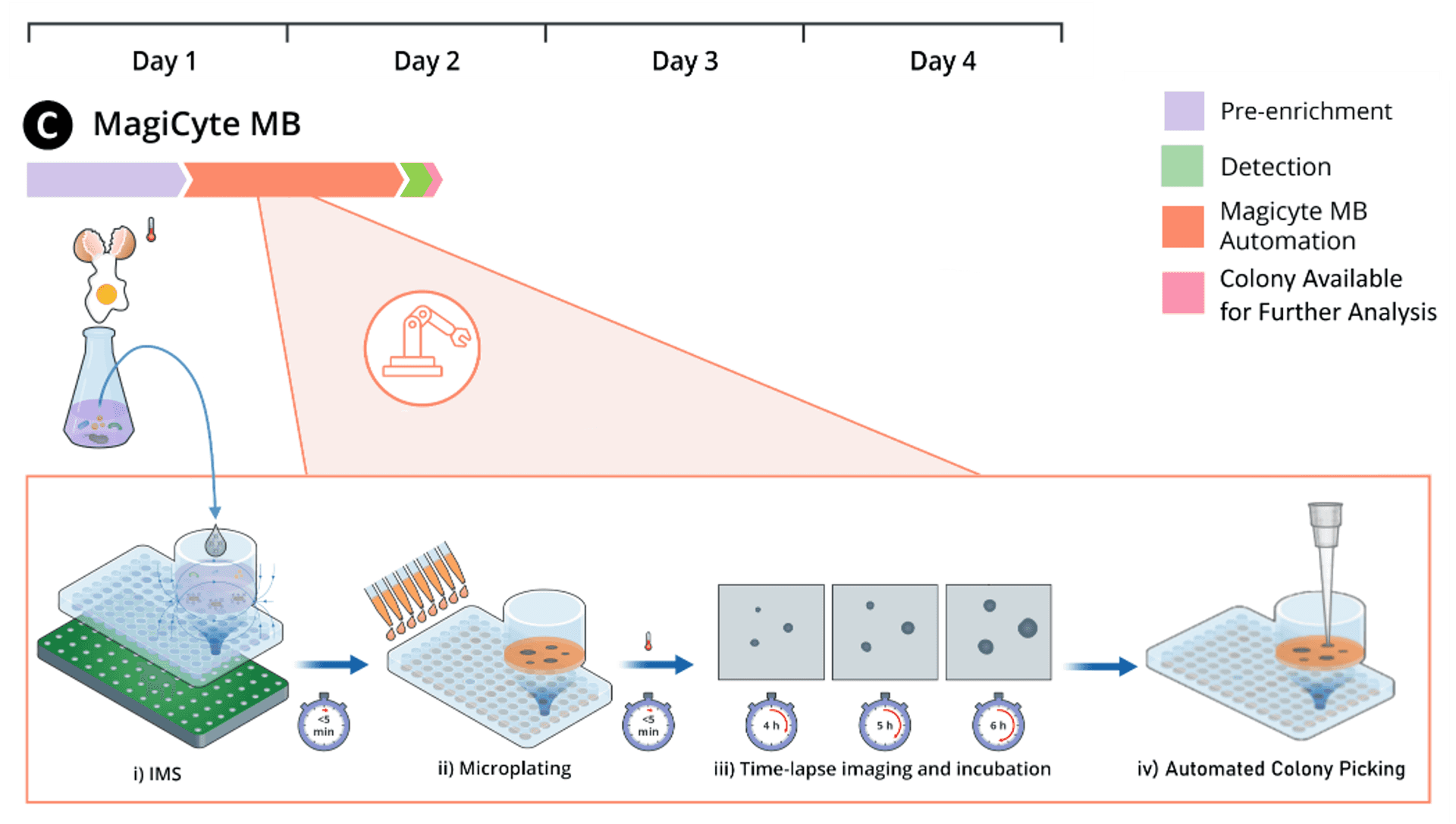 A timeline of the MagiCyte MB method, taking just over a day