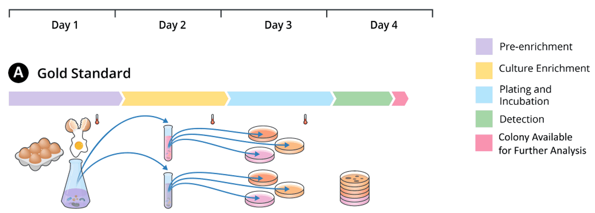 A timeline of a traditional method taking four days