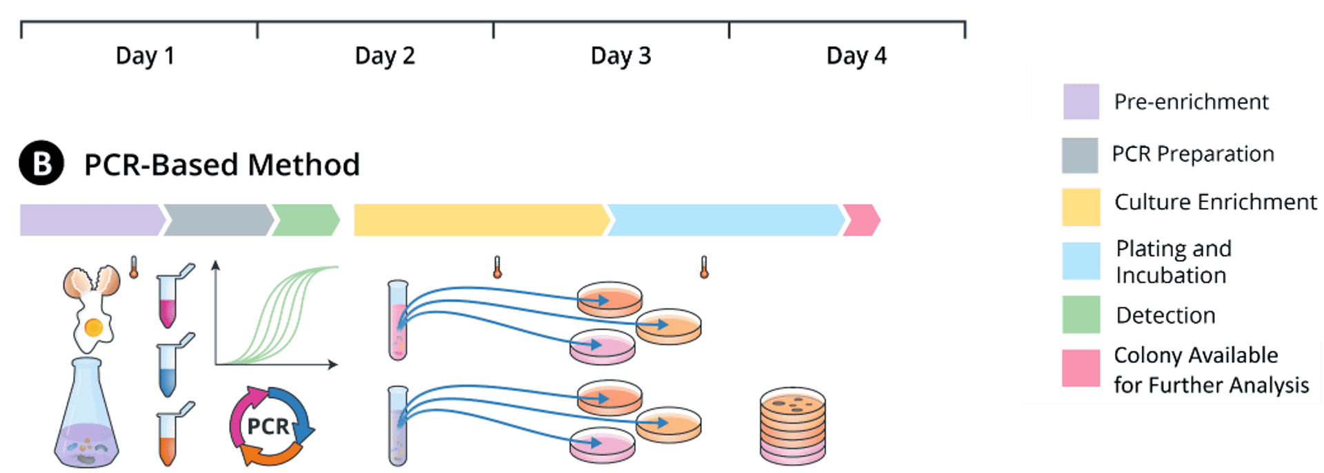 A timeline of a PCR method taking four days